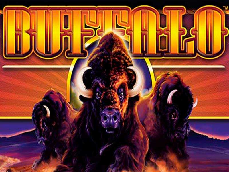 Play Buffalo Slot