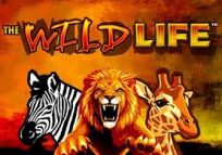 FREE Wildlife Slots Online | Review, Demo, List