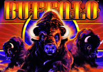 Buffalo Slots - Photo