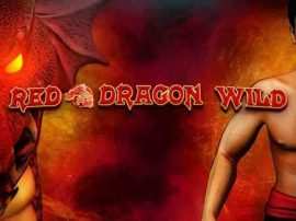 Play BasketBall Star Slot