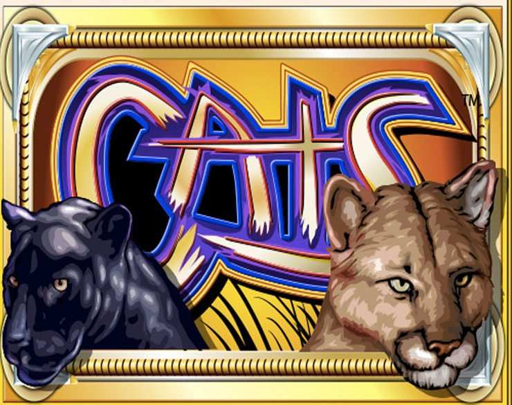 Play Cats Slot