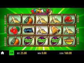 Play Leprechaun’s Fortune Slot