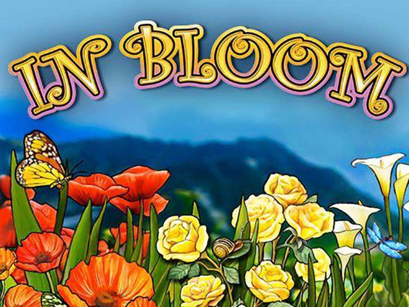 Play In Bloom Slot