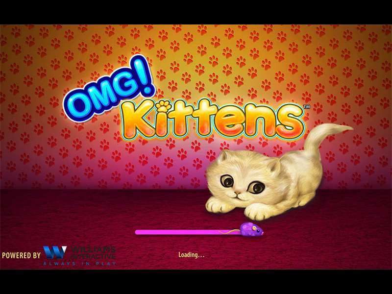 Play OMG! Kittens Slot