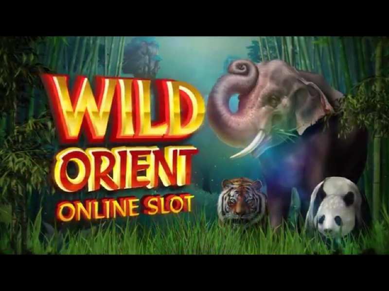 Play Wild Orient Slot