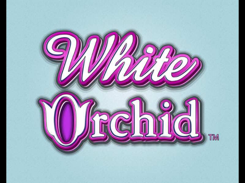 Play White Orchid Slot