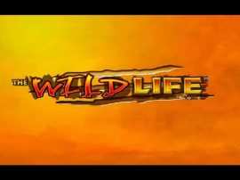 Play Willy Wonka Slot